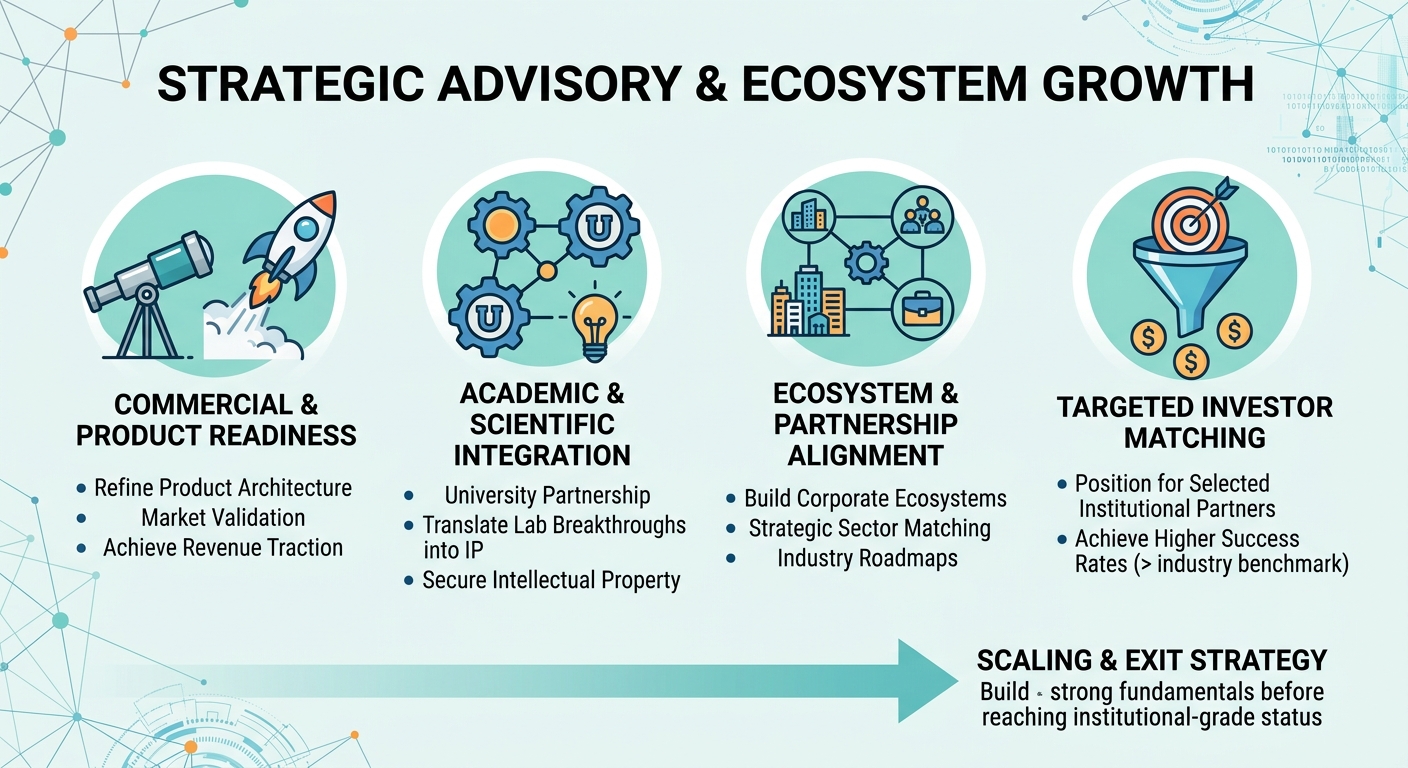 Strategic Advisory Beyond Traditional Venture Capital for Scale-Ups and Research Spin-Outs Worldwide