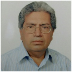 Prof. Mushtaq Mirani