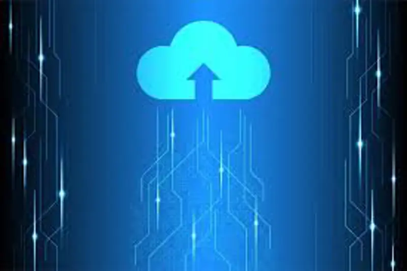 Cloud Cyber Security