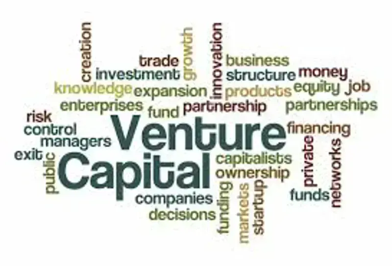 Financial Wealth Services