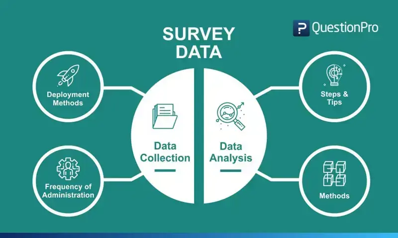 Market Research & Analytics