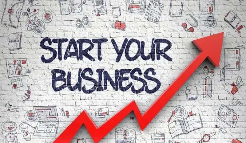 Startups & Venture Capital